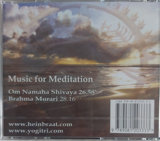 Hein Braat OM Namaha Shivaya